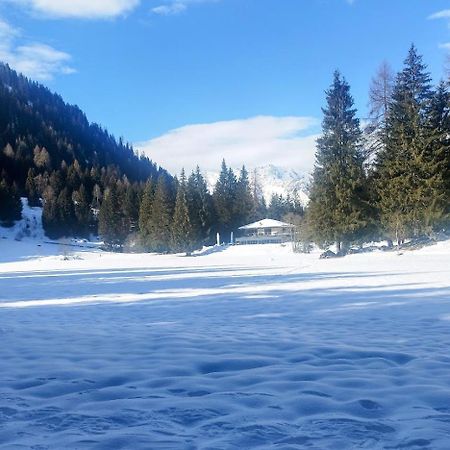 Appartamento Caprioli Pellizzano Esterno foto